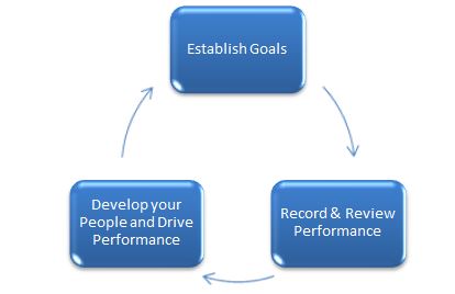 performance appraisal cycle