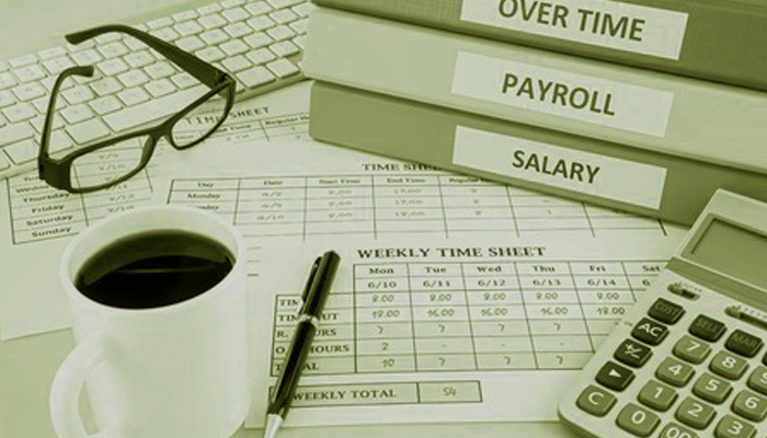 Online payroll software, payroll software, payroll system, payroll