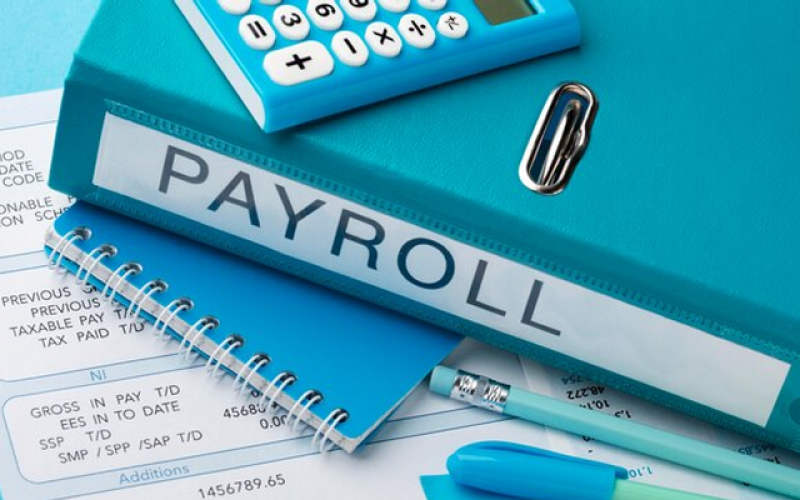 Payroll Management : Remain Statutory Compliant & Avoid Last Minute Payroll Hassles